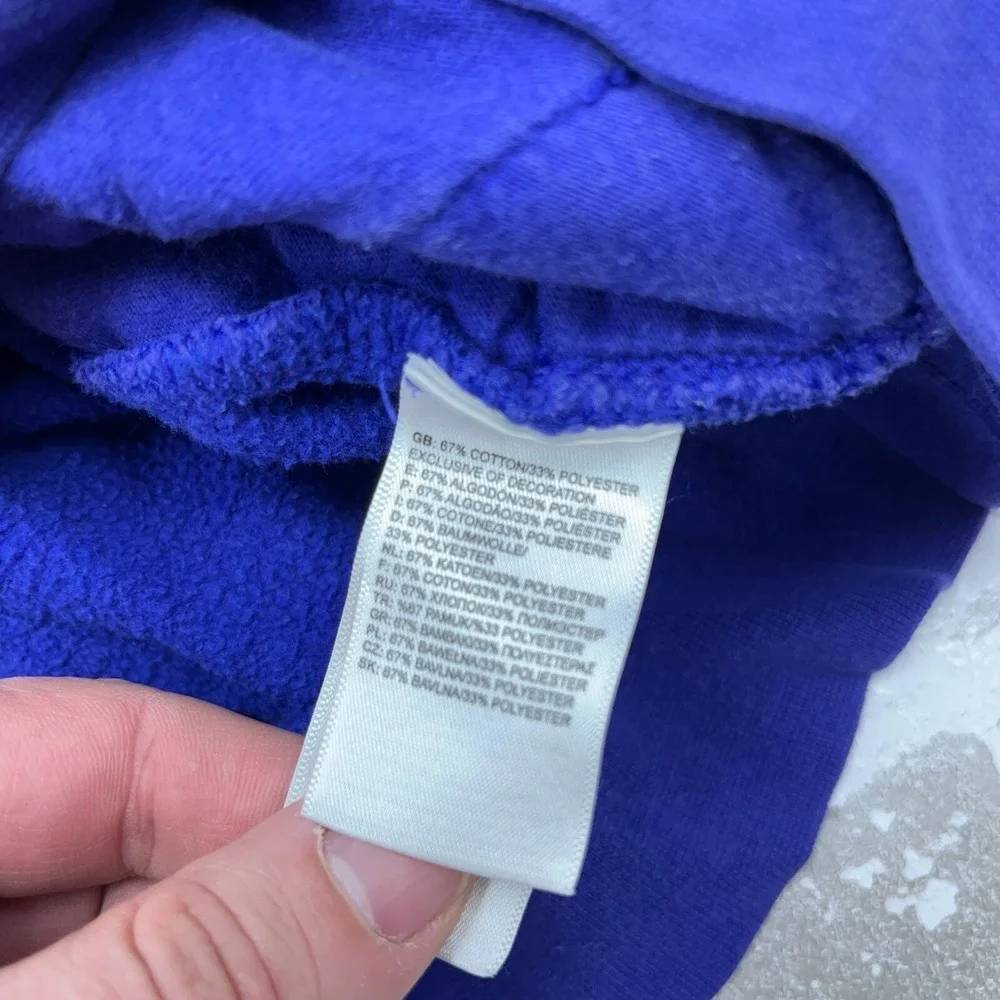 North‎ Face Sweatshirt Men Medium Purple Gray Hoodie Sweater Spell Out Hiking *